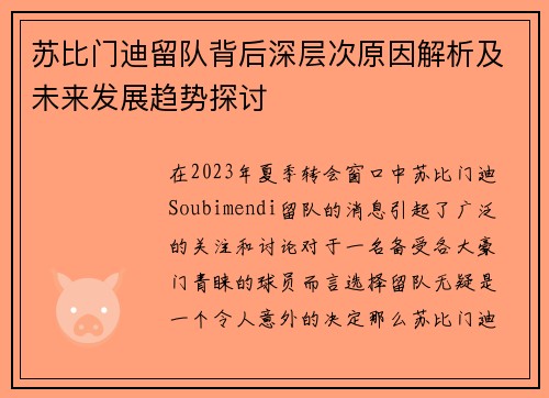 苏比门迪留队背后深层次原因解析及未来发展趋势探讨