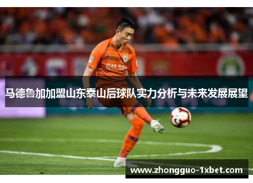马德鲁加加盟山东泰山后球队实力分析与未来发展展望