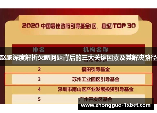 赵鹏深度解析欠薪问题背后的三大关键因素及其解决路径