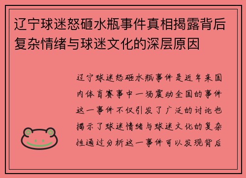 辽宁球迷怒砸水瓶事件真相揭露背后复杂情绪与球迷文化的深层原因