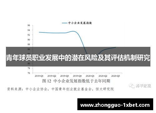 青年球员职业发展中的潜在风险及其评估机制研究
