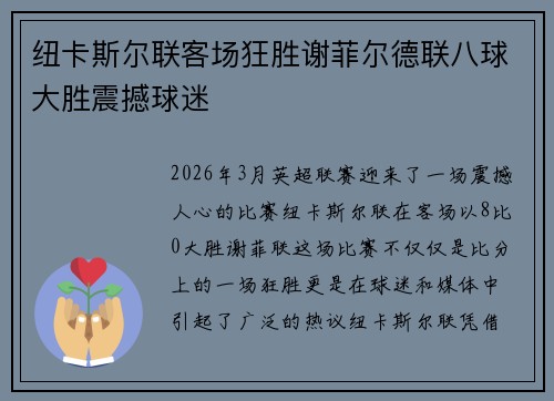 纽卡斯尔联客场狂胜谢菲尔德联八球大胜震撼球迷