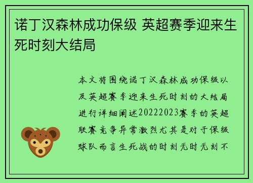 诺丁汉森林成功保级 英超赛季迎来生死时刻大结局